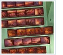 scan your negative strips to DVD