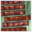 35mm negative strips scanned to USB Memory Stick in Norwich, Norfolk