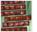 scan your negative strips to USB